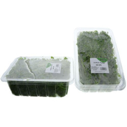 CERFEUIL GROSBUSCH 4X200G